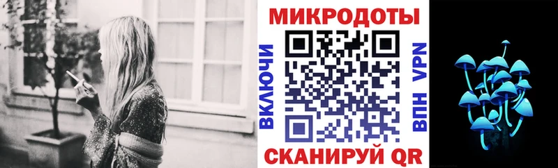 закладки  Шахты  Галлюциногенные грибы прущие грибы 