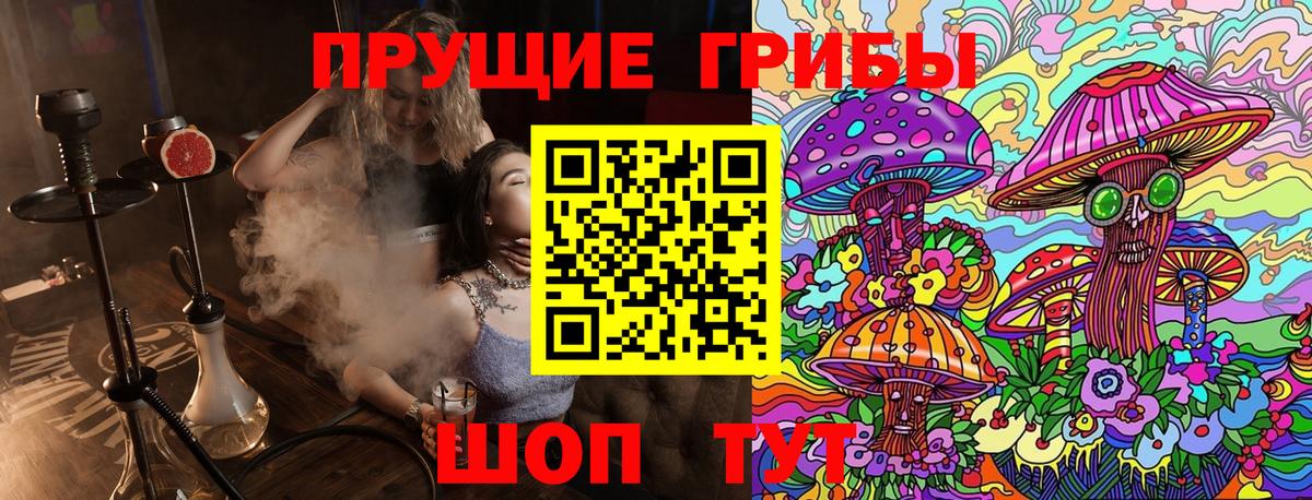 Шахты  наркошоп  Вход с VPN  Псилоцибиновые грибы ЛСД 
